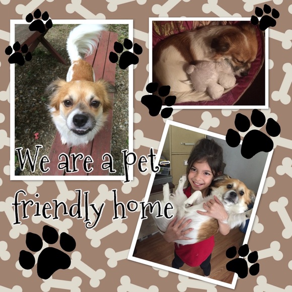 Smoke Free/Pet Friendly - Picture 2 of 3